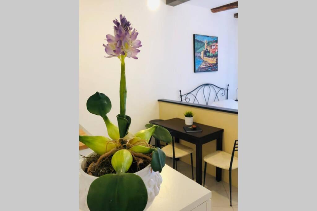 La Gianchina Di Vernazza - Central Cozy Apt Wi-Fi Екстер'єр фото